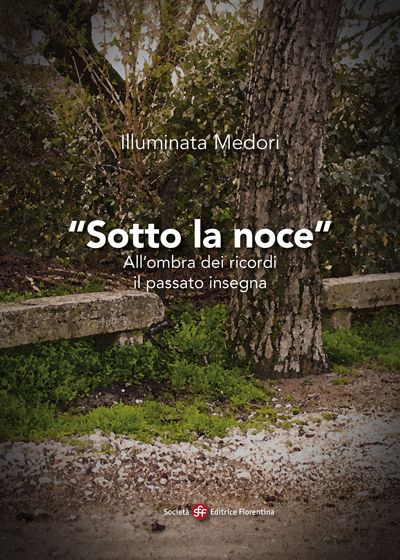 Sotto la noce